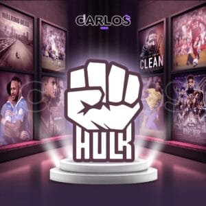 اشتراك هولك - 2