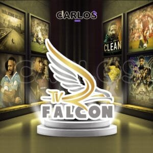 اشتراك فالكون برو - 2