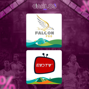 اشتراك فالكون سنه + اشتراك ايفيدي تي في بريميوم سنه - 4