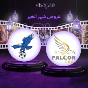 اشتراك فالكون سنه + اشتراك فولتشر سنه