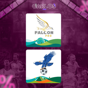 اشتراك فالكون سنه + اشتراك فولتشر سنه - 4