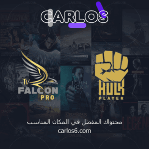 اشتراك فالكون لمدة سنه + هولك سنه - 2