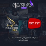 عرض اشتراك فالكون وايفيدي سنه