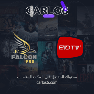 اشتراك فالكون سنه + اشتراك ايفيدي تي في بريميوم سنه - 2