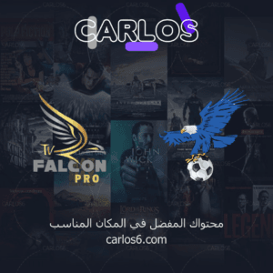 اشتراك فالكون سنه + اشتراك فولتشر سنه - 2