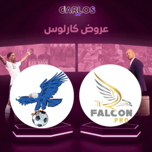 اشتراك فالكون سنه + اشتراك فولتشر سنه - 3