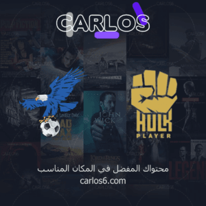 اشتراك هولك سنه + اشتراك فولتشر سنه - 2